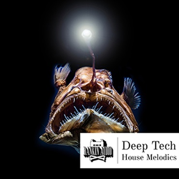 DEEP TECH HOUSE MELODICS(オンライン納品)(2時間以内に納品)