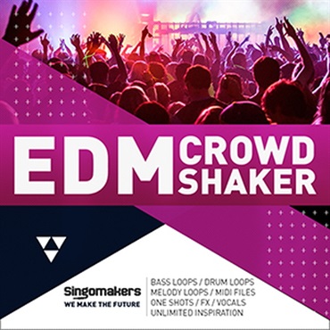 EDM CROWD SHAKER(オンライン納品)(2時間以内に納品)