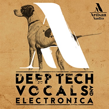 DEEP TECH VOCALS & ELECTRONICA(オンライン納品)(2時間以内に納品)