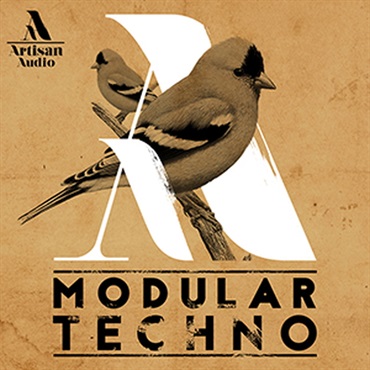MODULAR TECHNO(オンライン納品)(2時間以内に納品)