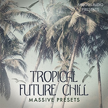 TROPICAL FUTURE CHILL MASSIVE PRESETS(オンライン納品)(2時間以内に納品)