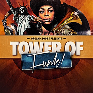 TOWER OF FUNK(オンライン納品)(2時間以内に納品)