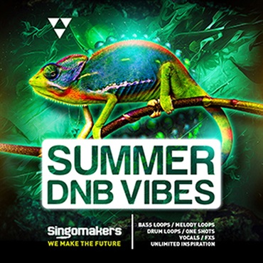 SUMMER DNB VIBES(オンライン納品)(2時間以内に納品)