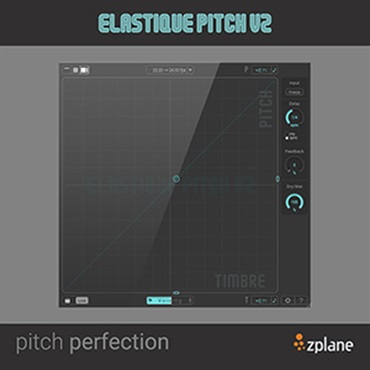 ELASTIQUE PITCH 2(オンライン納品)(2時間以内に納品)
