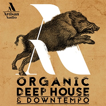 ARTISAN AUDIO ORGANIC DEEP HOUSE & DOWNTEMPO(オンライン納品)(2時間以内に納品)