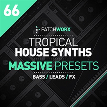 TROPICAL HOUSE MASSIVE PRESETS(オンライン納品)(2時間以内に納品)