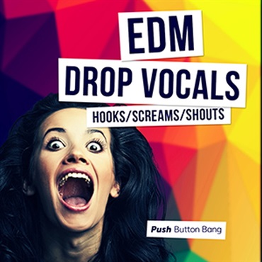 EDM DROP VOCALS - HOOKS， SCREAMS AND SHOUTS(オンライン納品)(2時間以内に納品)