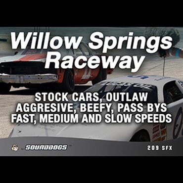 WILOW SPRINGS RACEWAY(オンライン納品)(2時間以内に納品)