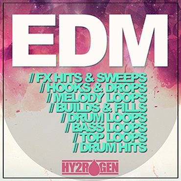 EDM(オンライン納品)(2時間以内に納品)