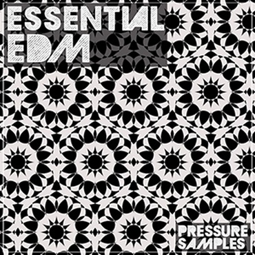 ESSENTIAL EDM(オンライン納品)(2時間以内に納品)