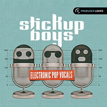 STICK UP BOYS ELECTRONIC POP VOCALS(オンライン納品)(2時間以内に納品)