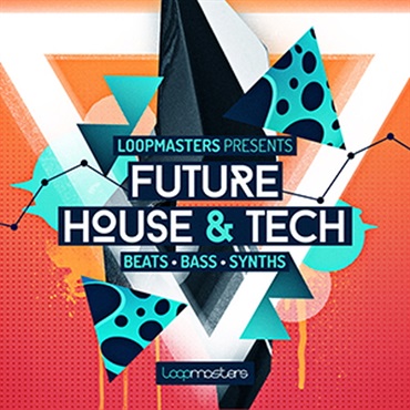 FUTURE HOUSE & TECH(オンライン納品)(2時間以内に納品)