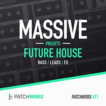 FUTURE HOUSE MASSIVE PRESETS(オンライン納品)(2時間以内に納品)
