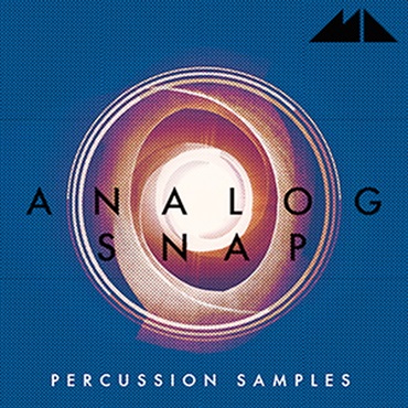 ANALOG SNAP(オンライン納品)(2時間以内に納品)