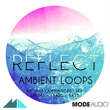 REFLECT(オンライン納品)(2時間以内に納品)