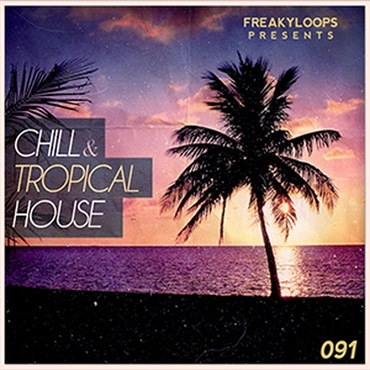 CHILL & TROPICAL HOUSE(オンライン納品)(2時間以内に納品)
