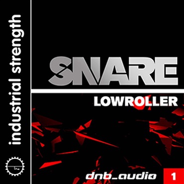 DNB AUDIO SNARE(オンライン納品)(2時間以内に納品)