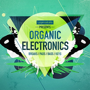 ORGANIC ELECTRONICS(オンライン納品)(2時間以内に納品)