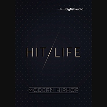 HIT LIFE(オンライン納品)(2時間以内に納品)