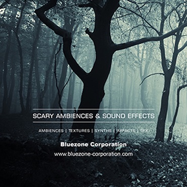 SCARY AMBIENCES AND SOUND EFFECTS(オンライン納品)(2時間以内に納品)