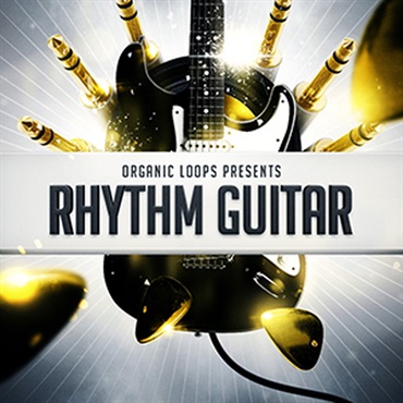 ORGANIC LOOPS RHYTHM GUITAR(オンライン納品)(2時間以内に納品)