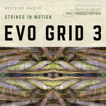 EVO GRID 3(オンライン納品)(2時間以内に納品)