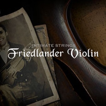 FRIEDLANDER VIOLIN(オンライン納品)(2時間以内に納品)