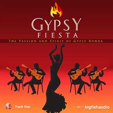 BIG FISH AUDIO GYPSY FIESTA(オンライン納品)(2時間以内に納品)