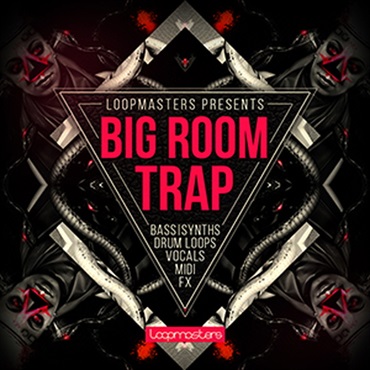 BIG ROOM TRAP(オンライン納品)(2時間以内に納品)