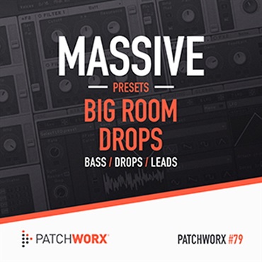 BIG ROOM DROPS - MASSIVE PRESETS(オンライン納品)(2時間以内に納品)