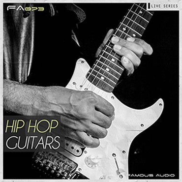 HIP HOP & SOUL GUITARS(オンライン納品)(2時間以内に納品)