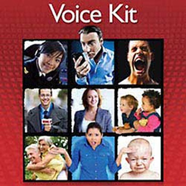 VOICE KIT(オンライン納品)(2時間以内に納品)
