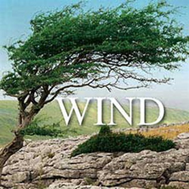 WIND SOUND EFFECTS(オンライン納品)(2時間以内に納品)