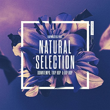 NATURAL SELECTION(オンライン納品)(2時間以内に納品)