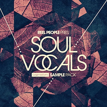 REEL PEOPLE PRESENT SOUL VOCALS(オンライン納品)(2時間以内に納品)