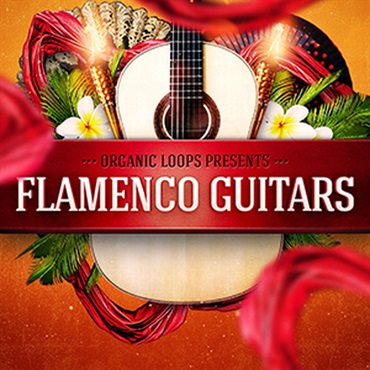 FLAMENCO GUITARS(オンライン納品)(2時間以内に納品)