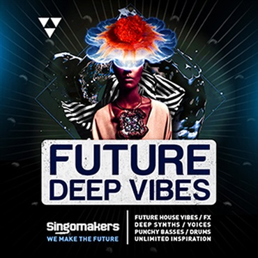 SINGOMAKERS FUTURE DEEP VIBES(オンライン納品)(2時間以内に納品)