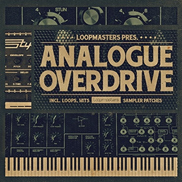 LOOPMASTERS ANALOGUE OVERDRIVE(オンライン納品)(2時間以内に納品)