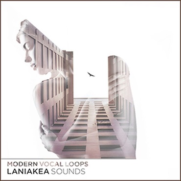 MODERN VOCAL LOOPS(オンライン納品)(2時間以内に納品)