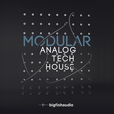 MODULAR ANALOG TECH HOUSE(オンライン納品)(2時間以内に納品)