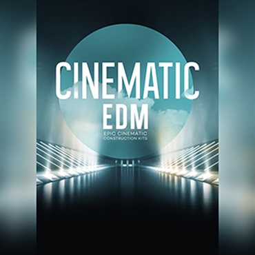 BIG FISH AUDIO CINEMATIC EDM(オンライン納品)(2時間以内に納品)
