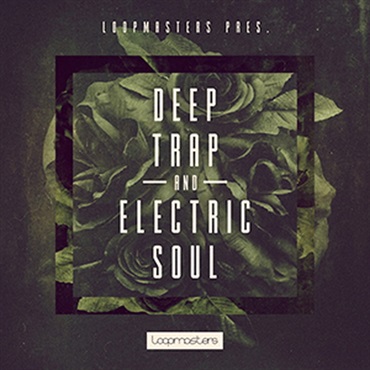 DEEP TRAP & ELECTRIC SOUL(オンライン納品)(2時間以内に納品)