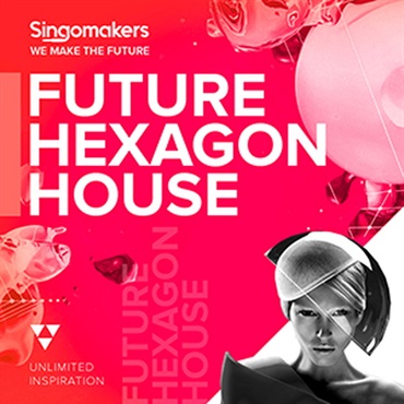 FUTURE HEXAGON HOUSE(オンライン納品)(2時間以内に納品)