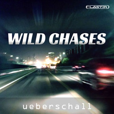 WILD CHASES / ELASTIK(オンライン納品)(2時間以内に納品)