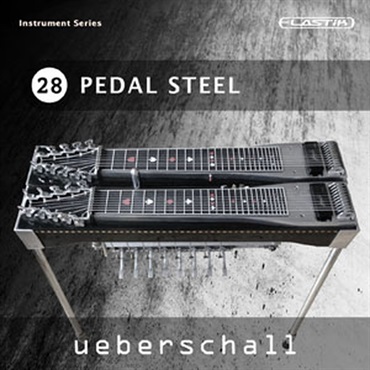 PEDAL STEEL / ELASTIK(オンライン納品)(2時間以内に納品)
