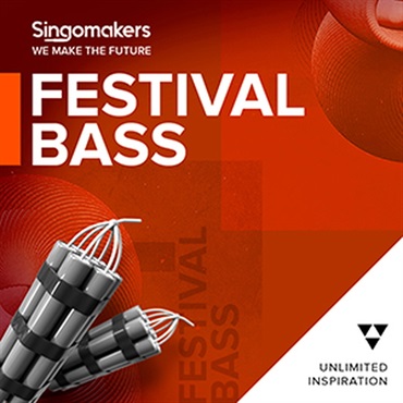 FESTIVAL BASS(オンライン納品)(2時間以内に納品)
