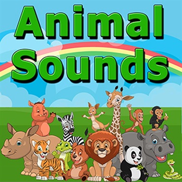 ANIMAL SOUNDS(オンライン納品)(2時間以内に納品)
