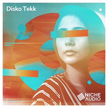 NICHE AUDIO DISKO TEKK(オンライン納品)(2時間以内に納品)