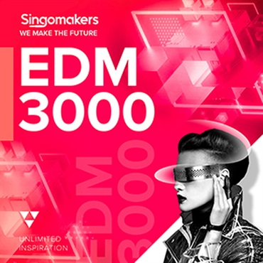 EDM 3000(オンライン納品)(2時間以内に納品)