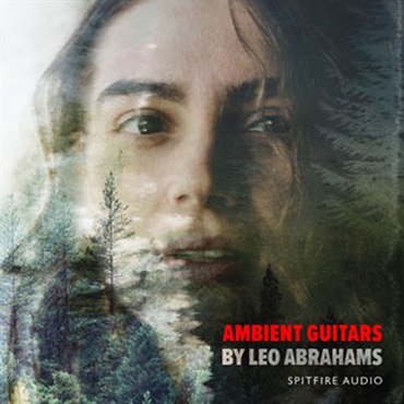 AMBIENT GUITARS(オンライン納品)(2時間以内に納品)